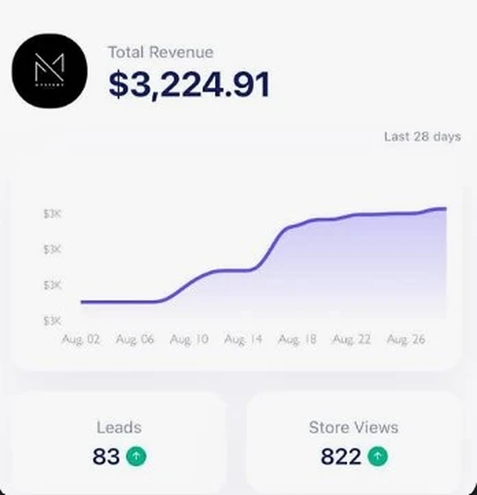 Store dashboard showing $3,224.91 total revenue with leads and store views
